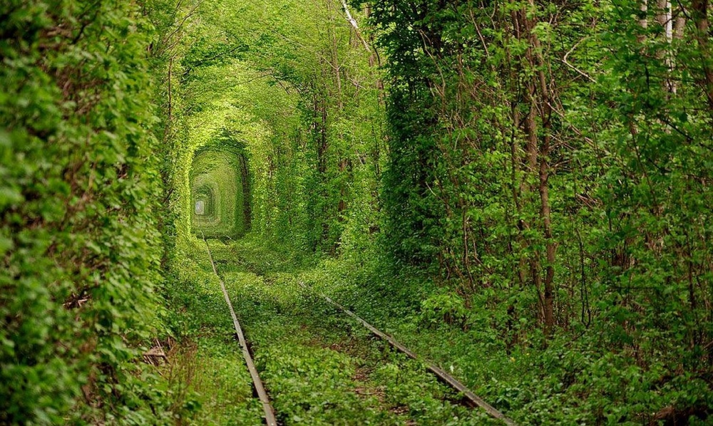 Тоннель любви
