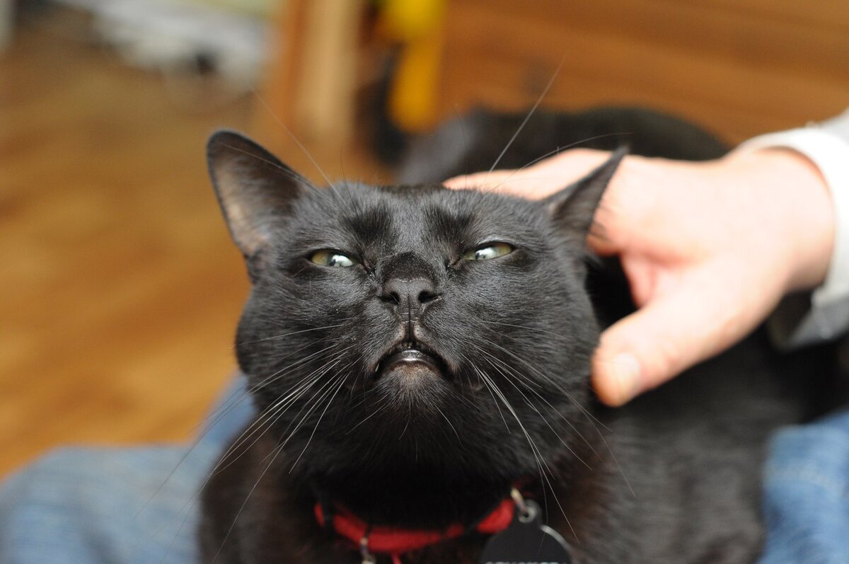 фото взято  из открытого источника. 