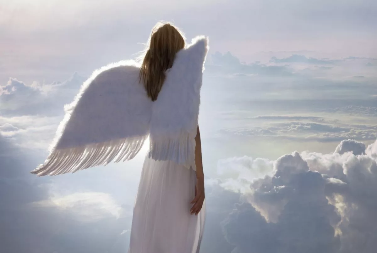 Видишь крылья за спиной. Ангел. Ангел фото. Крылья за спиной.