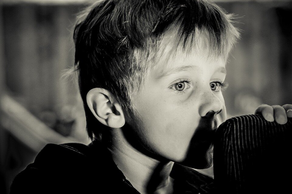 Фото:pixabay.com