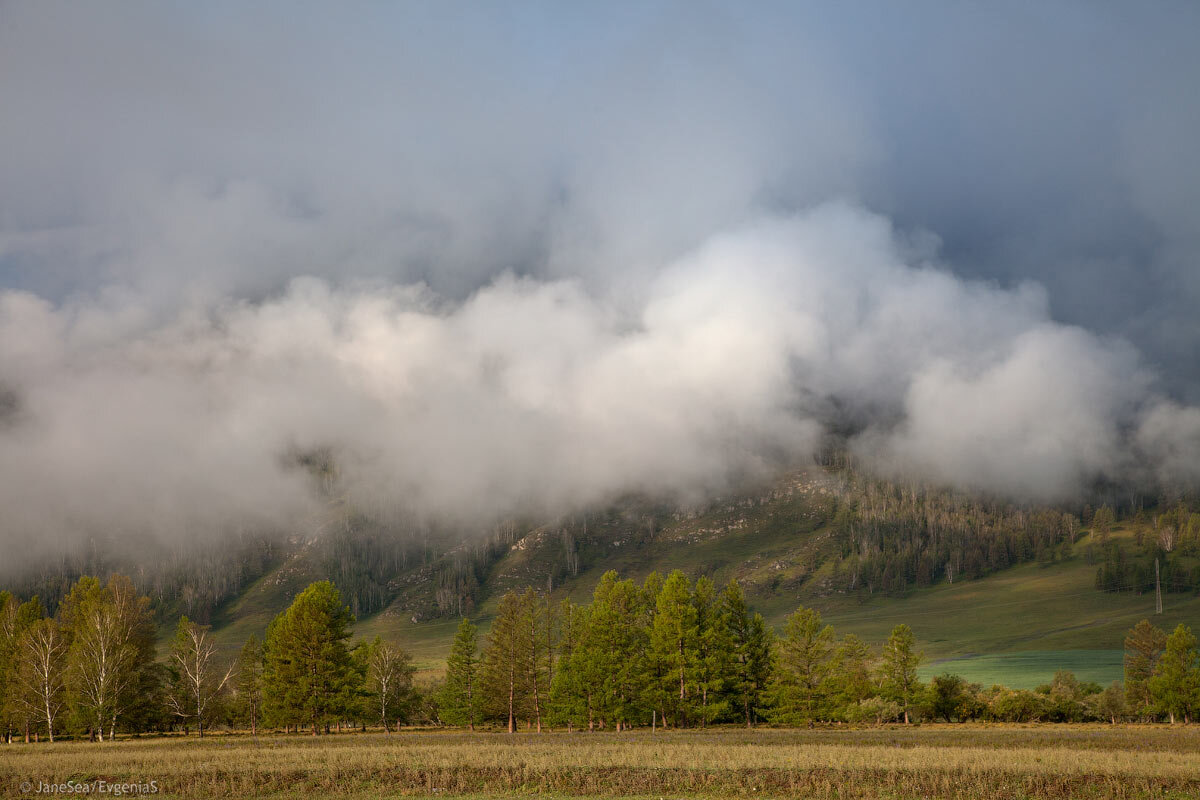 Республика Алтай, отроги Теректинского хребта