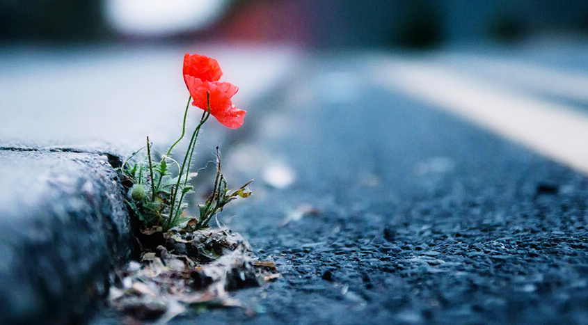 Пробиваясь через стену трудностей, человек становится сильнее 