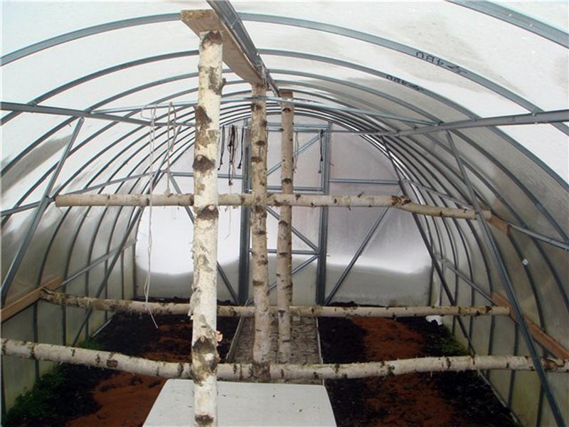 Но на самом деле весной может не хватать рабочих....и помогать в установке будет березка :)