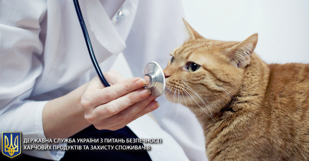 Госпродпотребслужба = Держпродспоживслужба