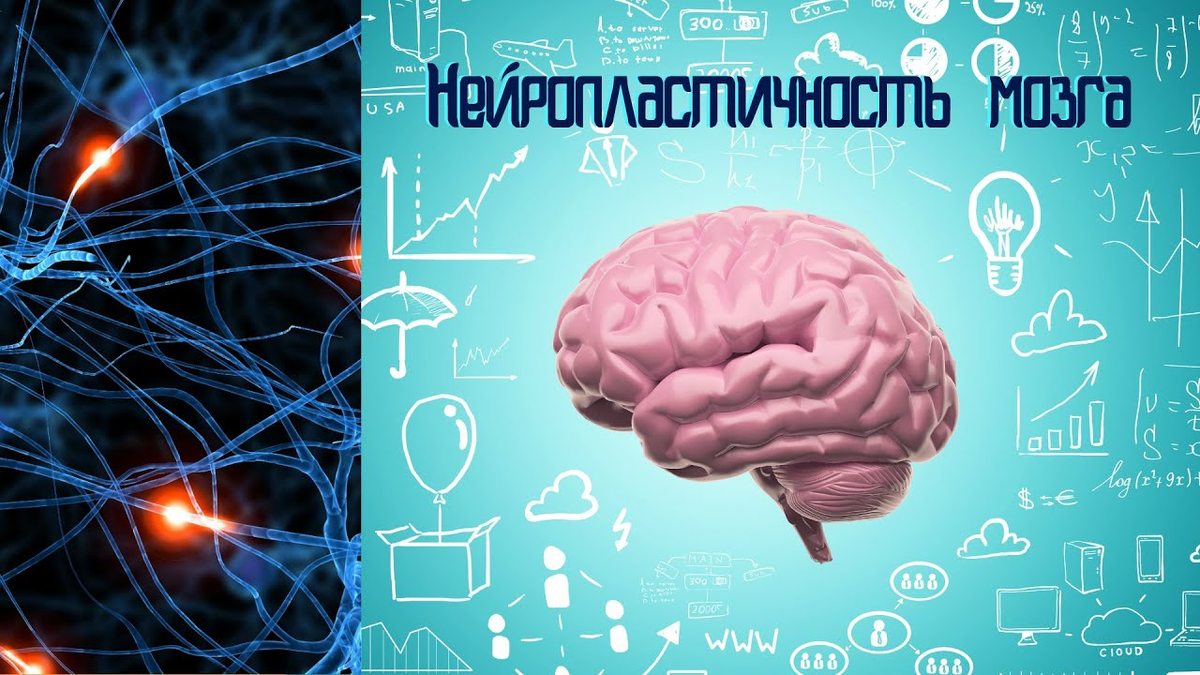 https://i.ytimg.com/vi/Bbd5ZZP2xf4/maxresdefault.jpg