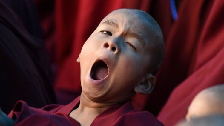 Во время скучных занятий люди зевают, чтобы взбодриться