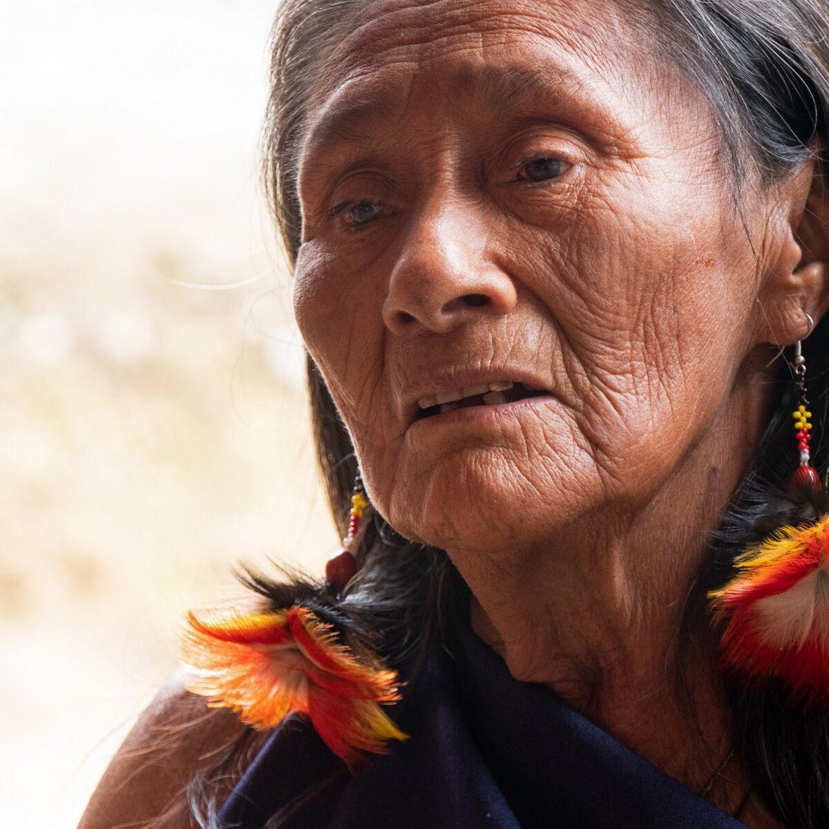   https://cdn.pixabay.com/photo/2019/07/05/16/24/ecuador-4318978_1280.jpg