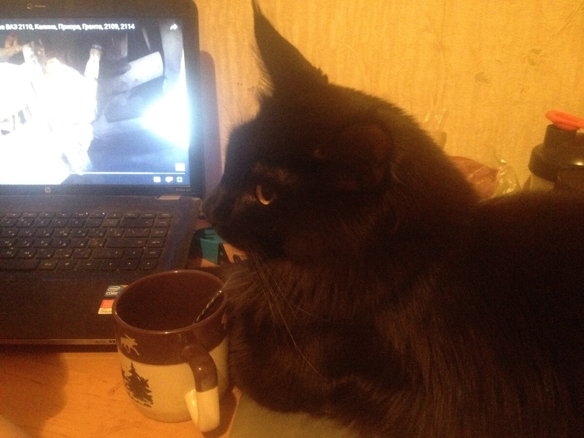 За чашечкой чая 