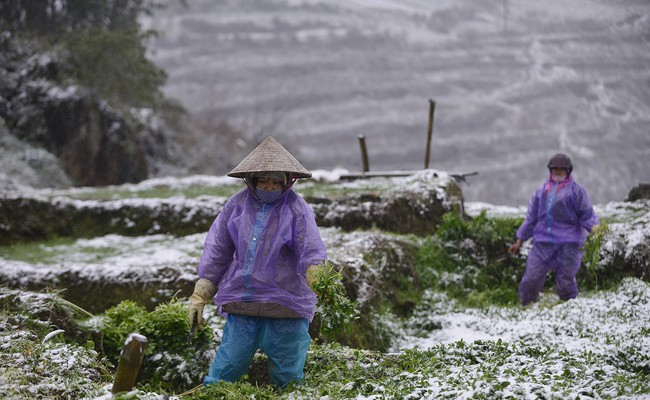 Зима - зимой, а сельское хозяйство никто не отменял. 