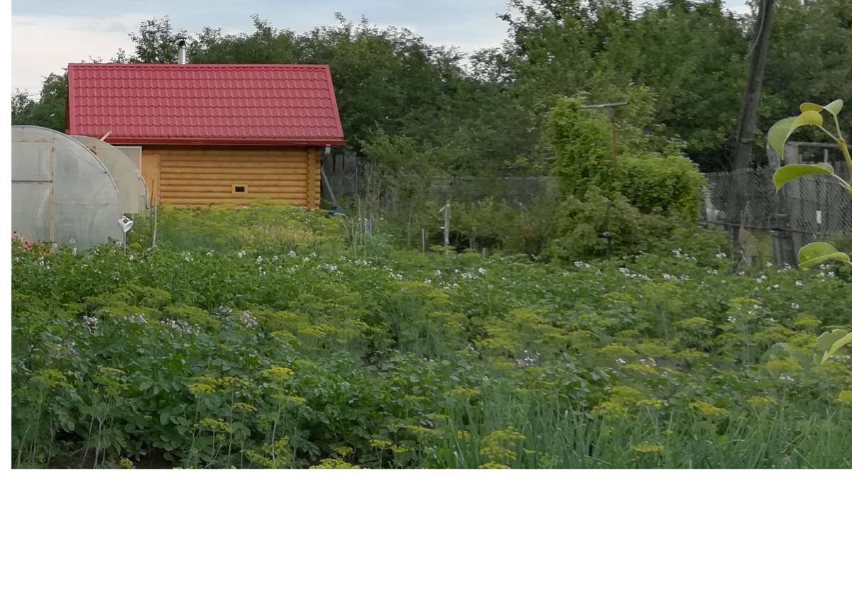 Вот такая баня получилась. Фото автора.