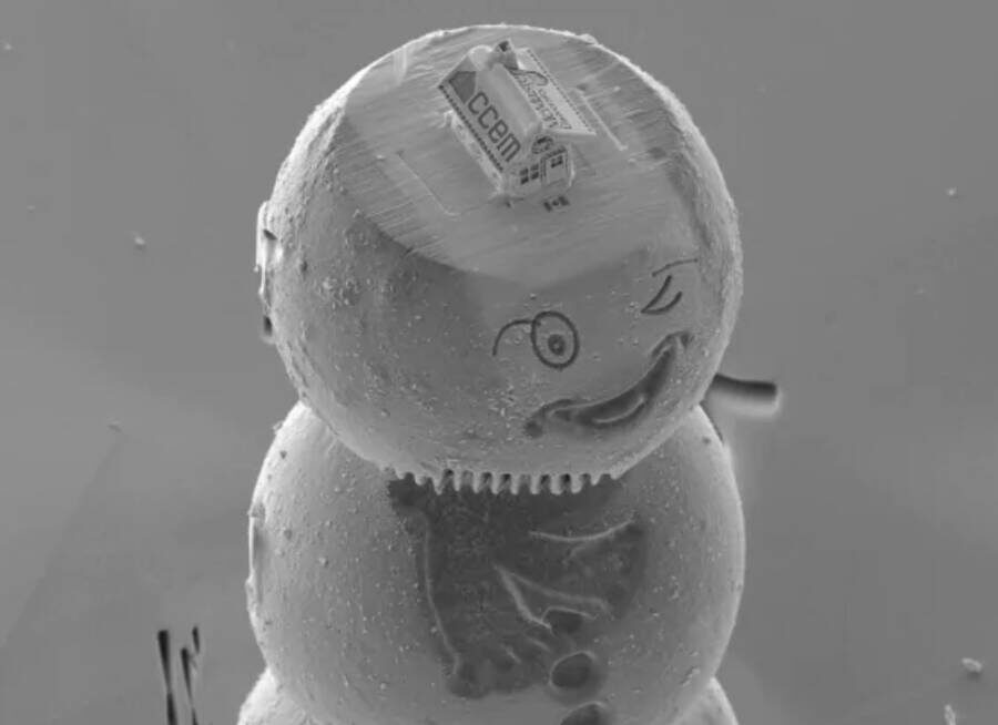 Фотография взята с ресурса "Канадский центр электронной микроскопии / Университет МакМастера"