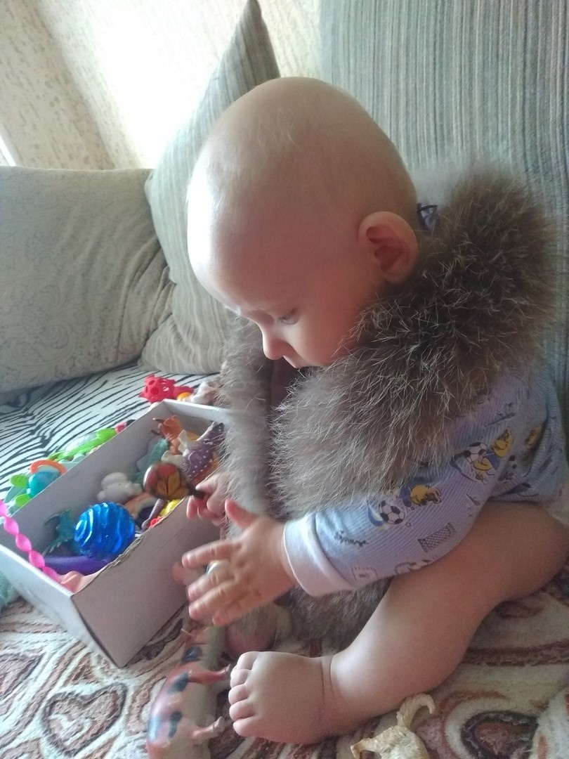 Мишка родился в 2018 г.