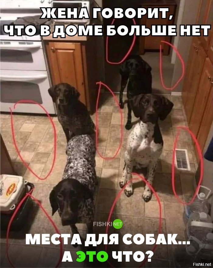 Источник fishkinet