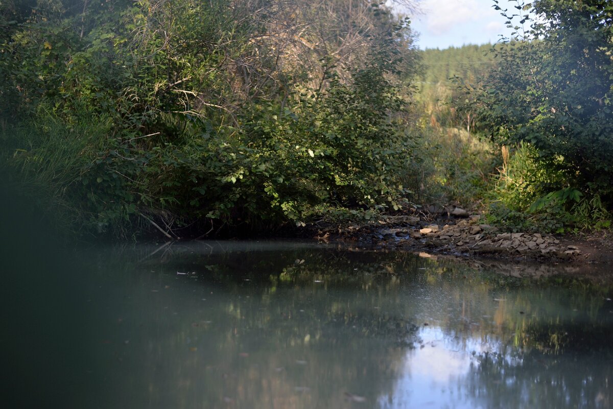 Такая вот речка течет позади двора