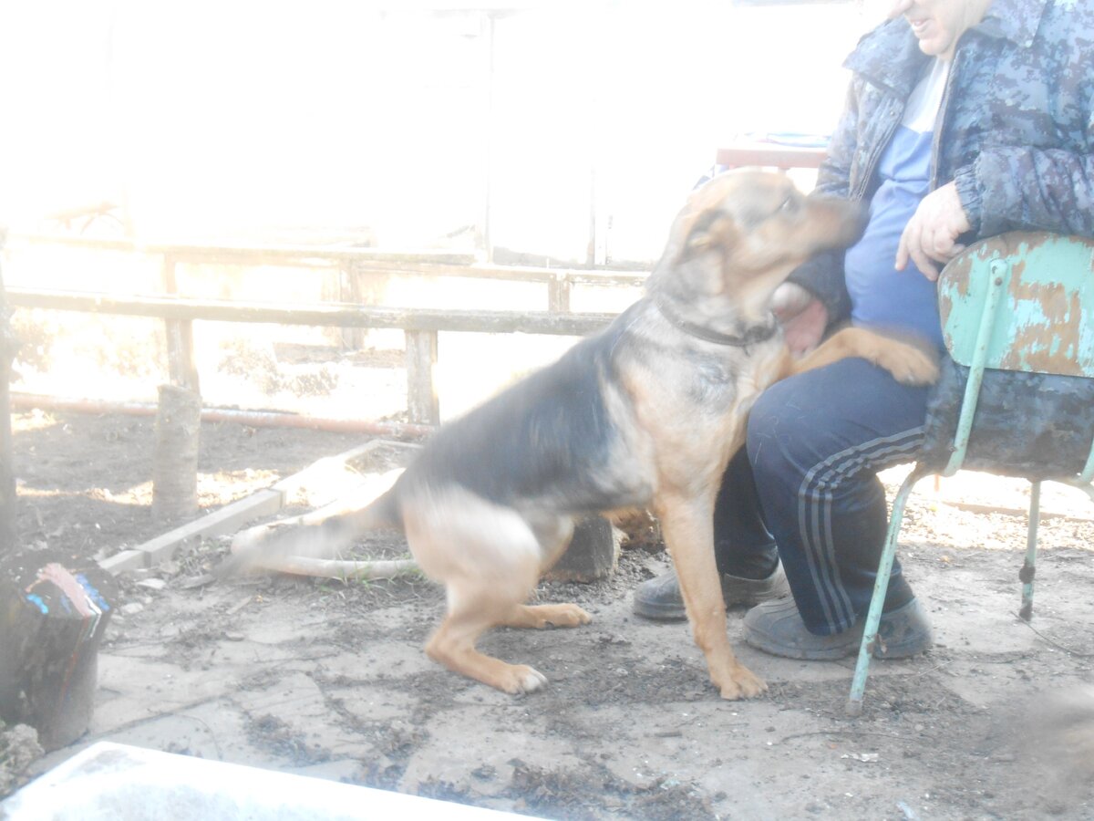 я и мой хозяин (фото из личного архива автора)