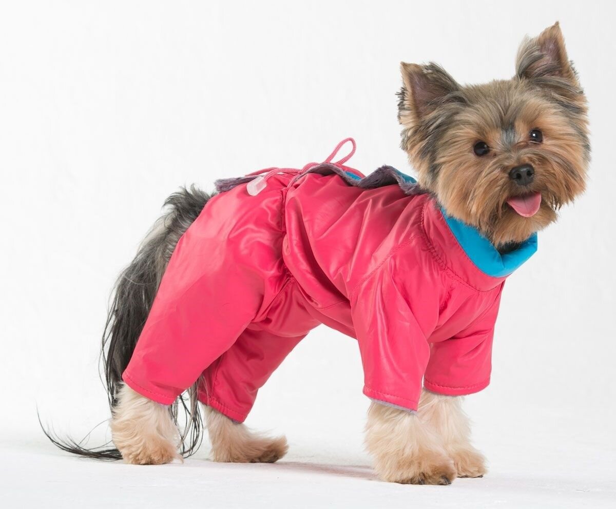 Картинка позаимствована с сайта:znaika.ru