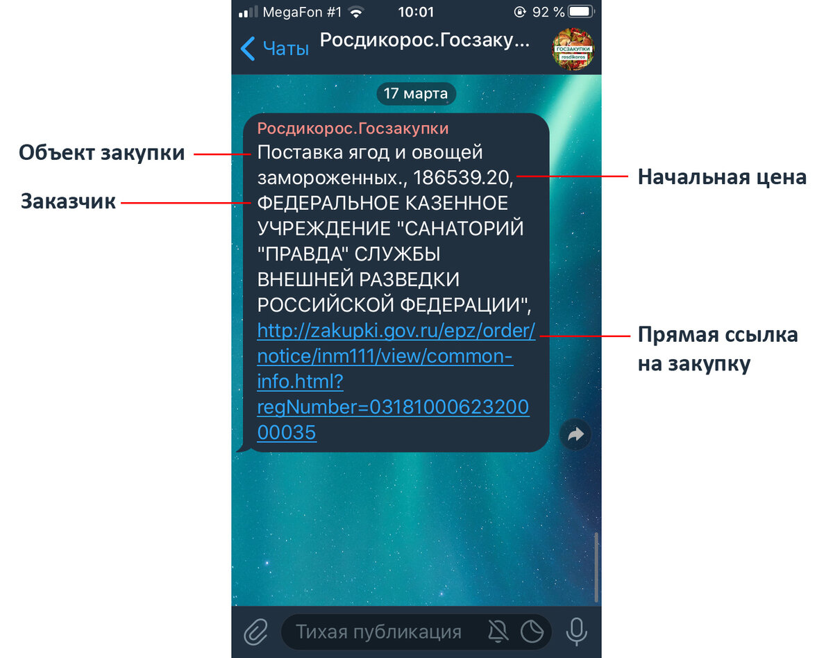 Описание интерфейса мониторинга госзакупок.