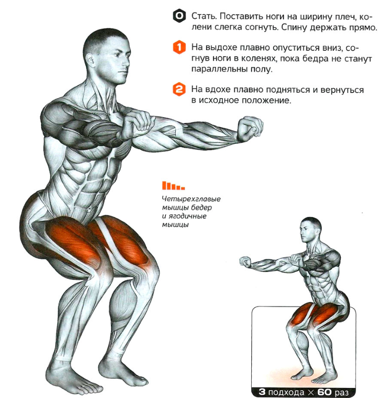 Приседания