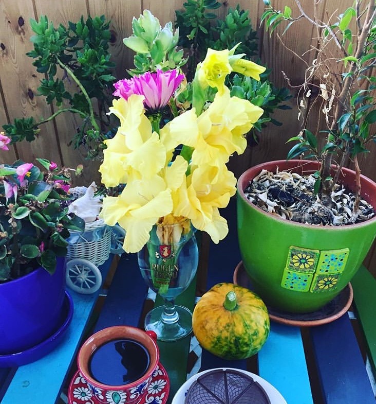 Фото гладиолусов сделано автором.