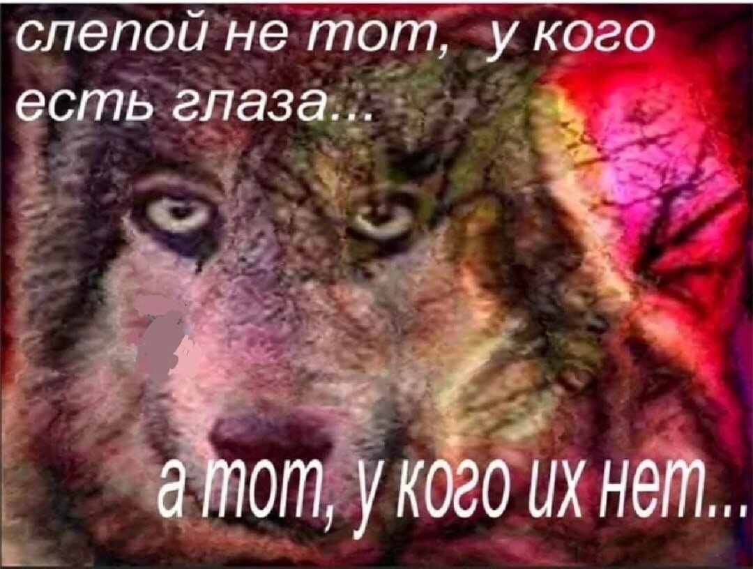 Лучше 5 сантиметров спереди, чем 20 сзади?? Как опускать собеседника  словом? | Иван Шевцов | Дзен