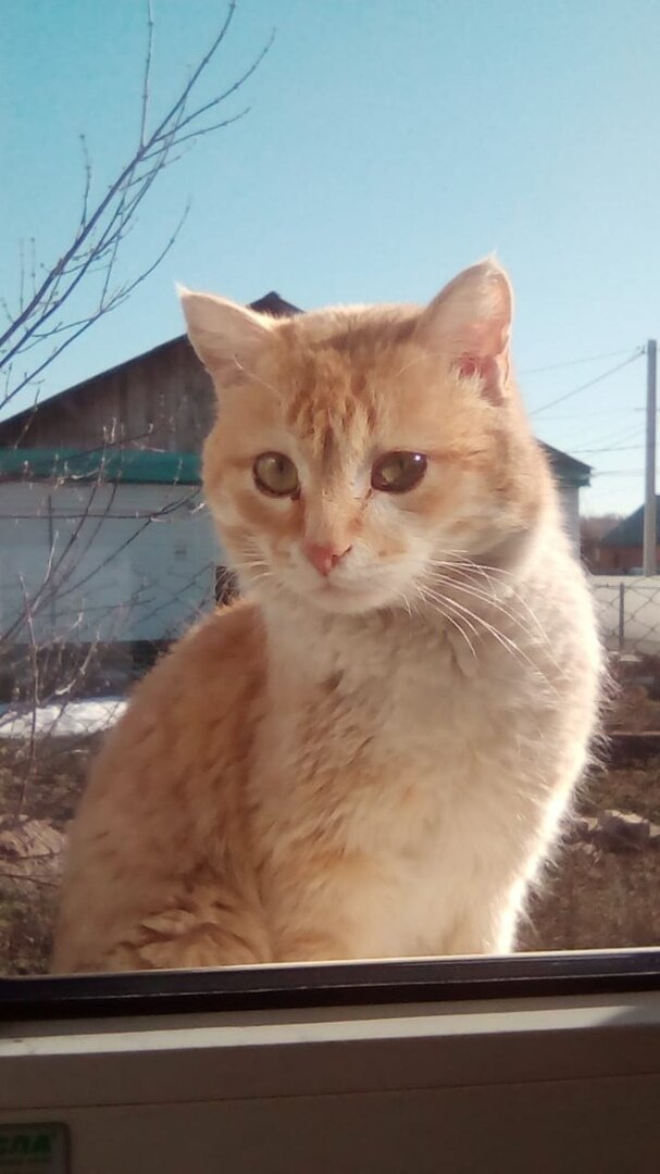 Даже сидя за окном, стесняется попроситься домой