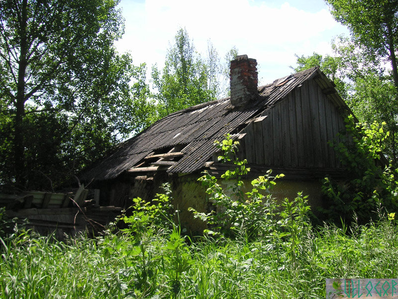 Заброшенные деревенские дома
