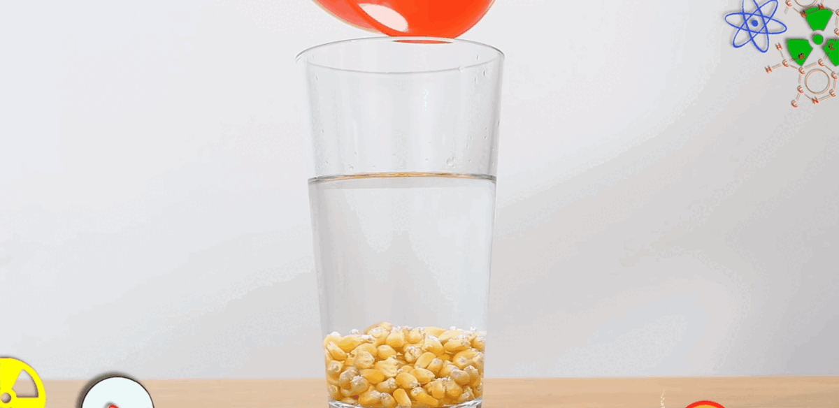 Видео взято из открытого источника