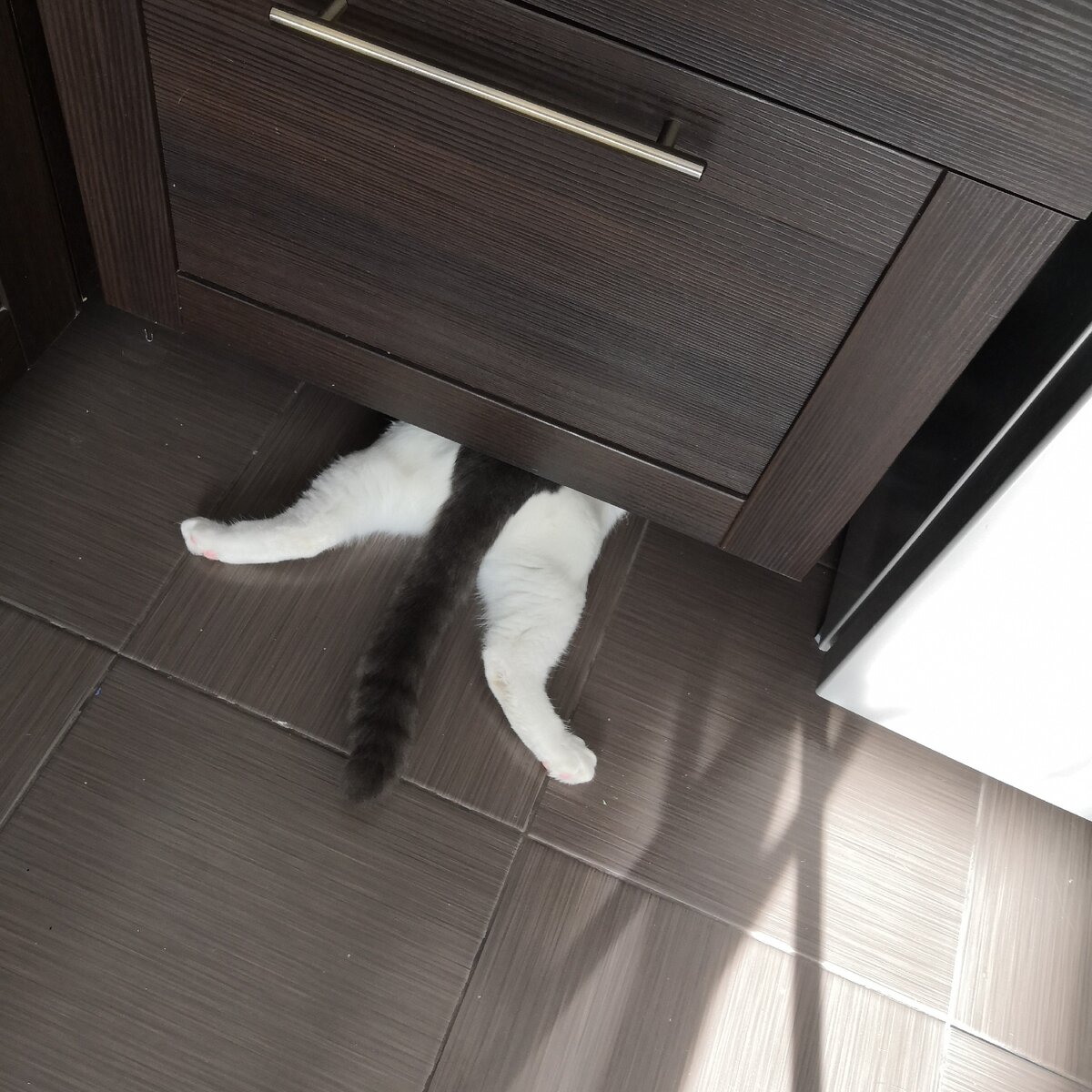 Я тут это, игрушку потерял