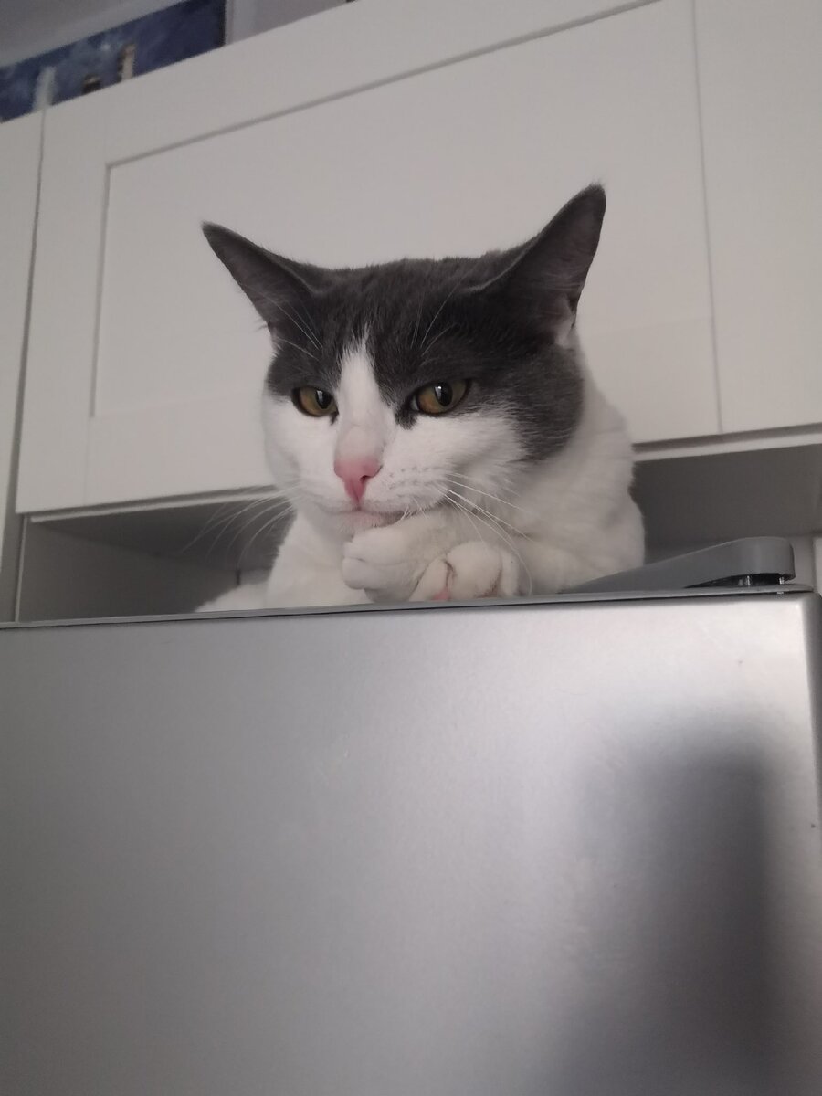 Задумался о важном.