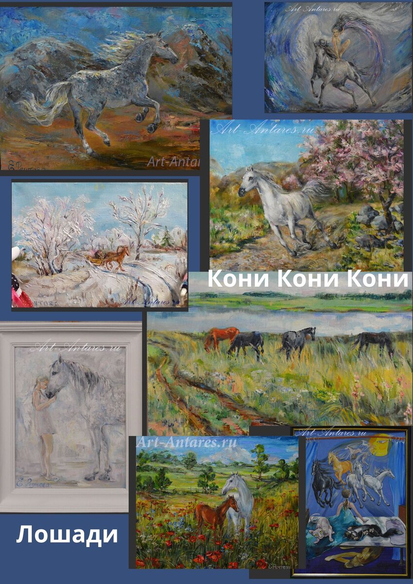 Лошади Реутовой Елены.