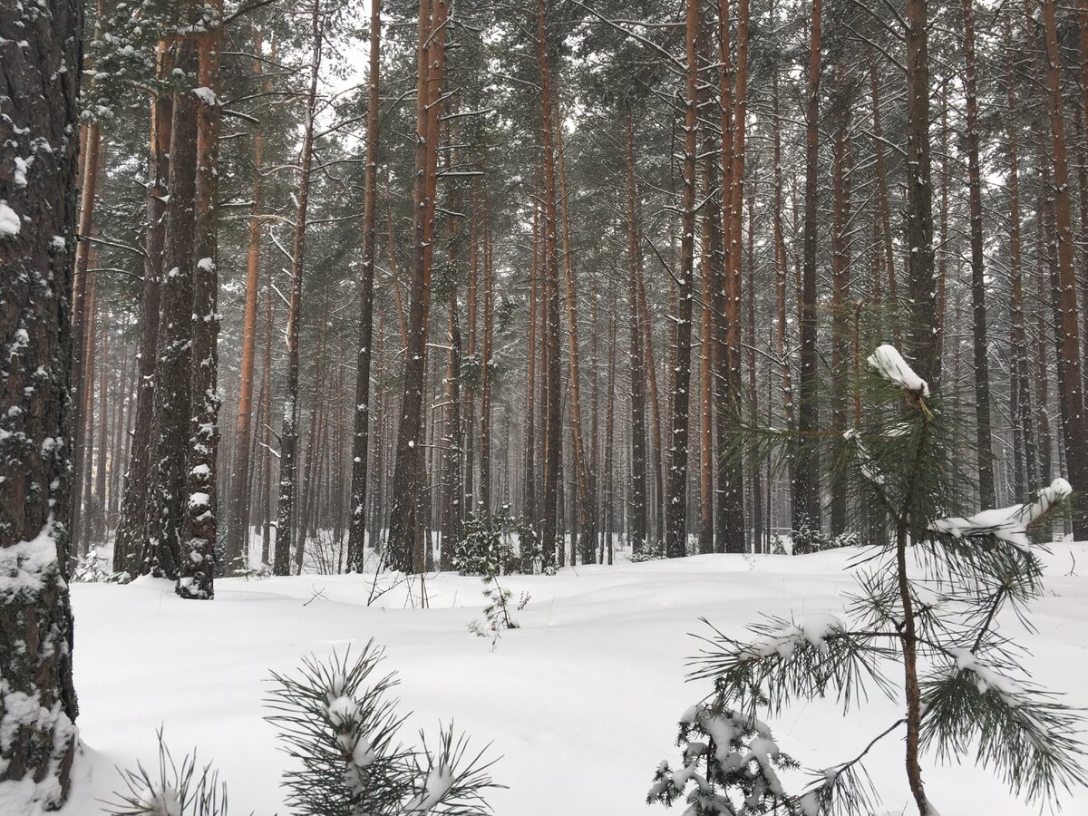 Россияне готовы к переезду в белорусскую деревню? Насколько это вообще реально