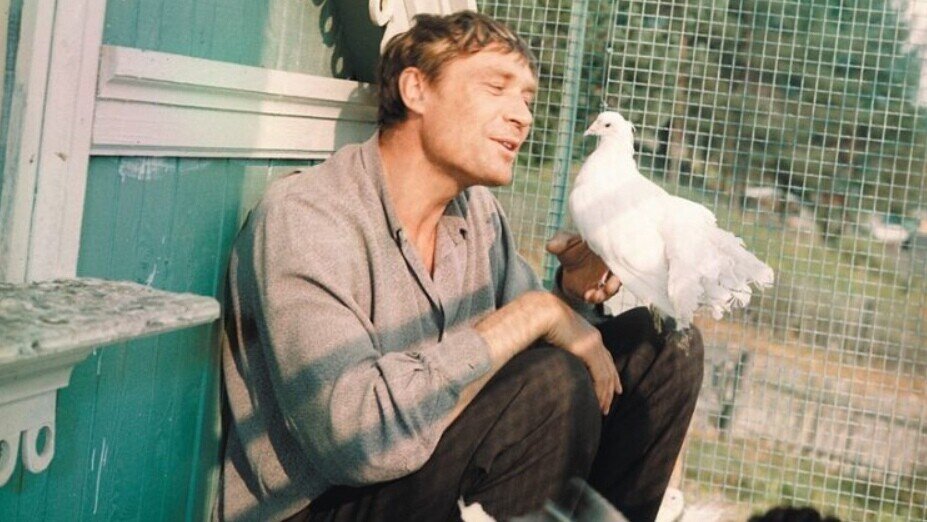 Кадр из фильма