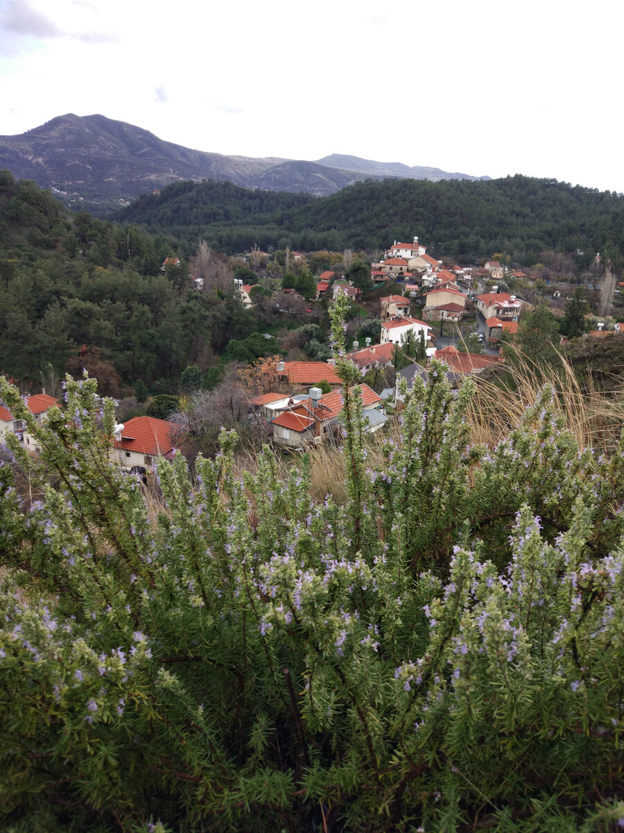 небольшой городок в горах Кипра