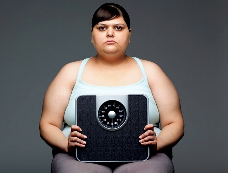 Жирок, фото взято на просторах интернета 