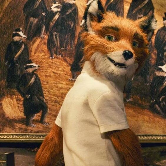 Кадр из м/ф "Бесподобный мистер Фокс " 