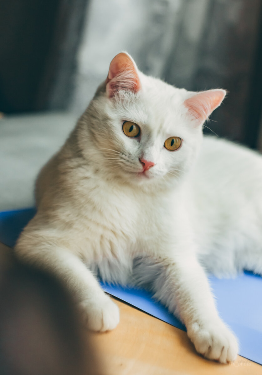 Фото: Котова Ксения