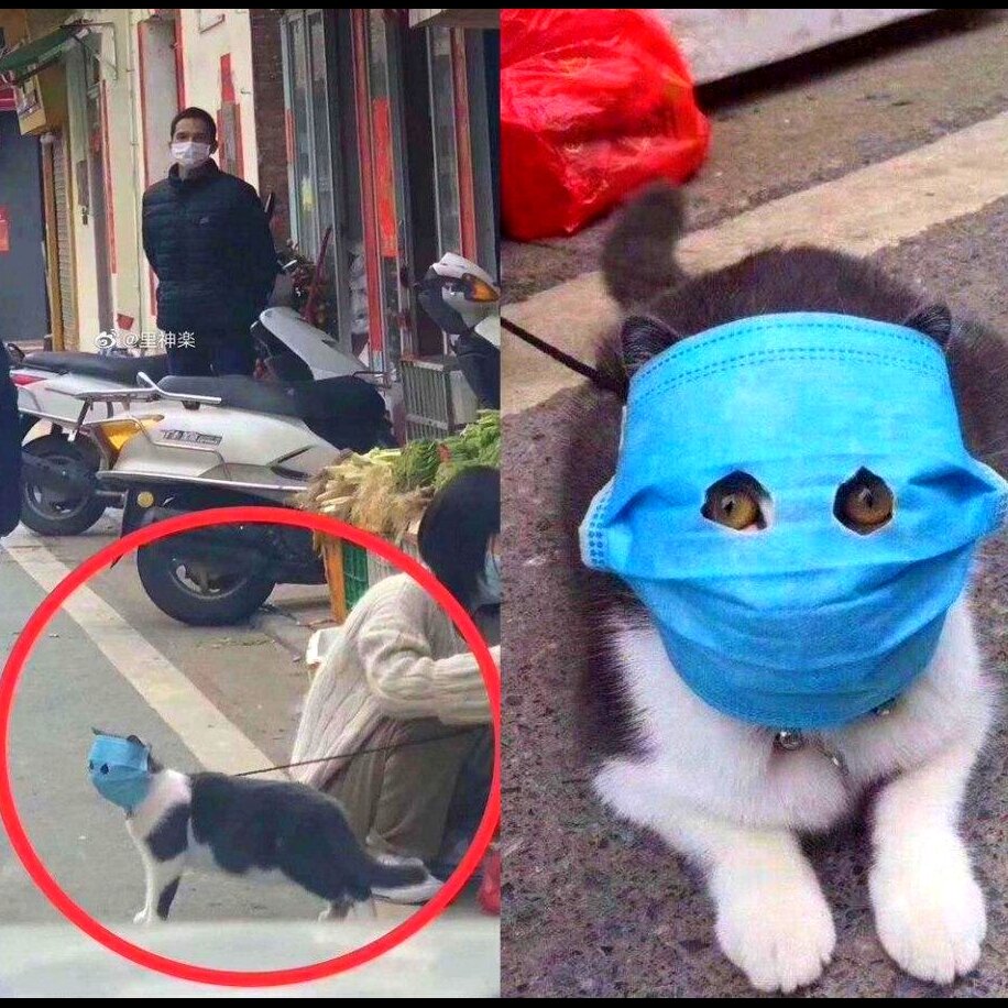 2. Очень оригинально.