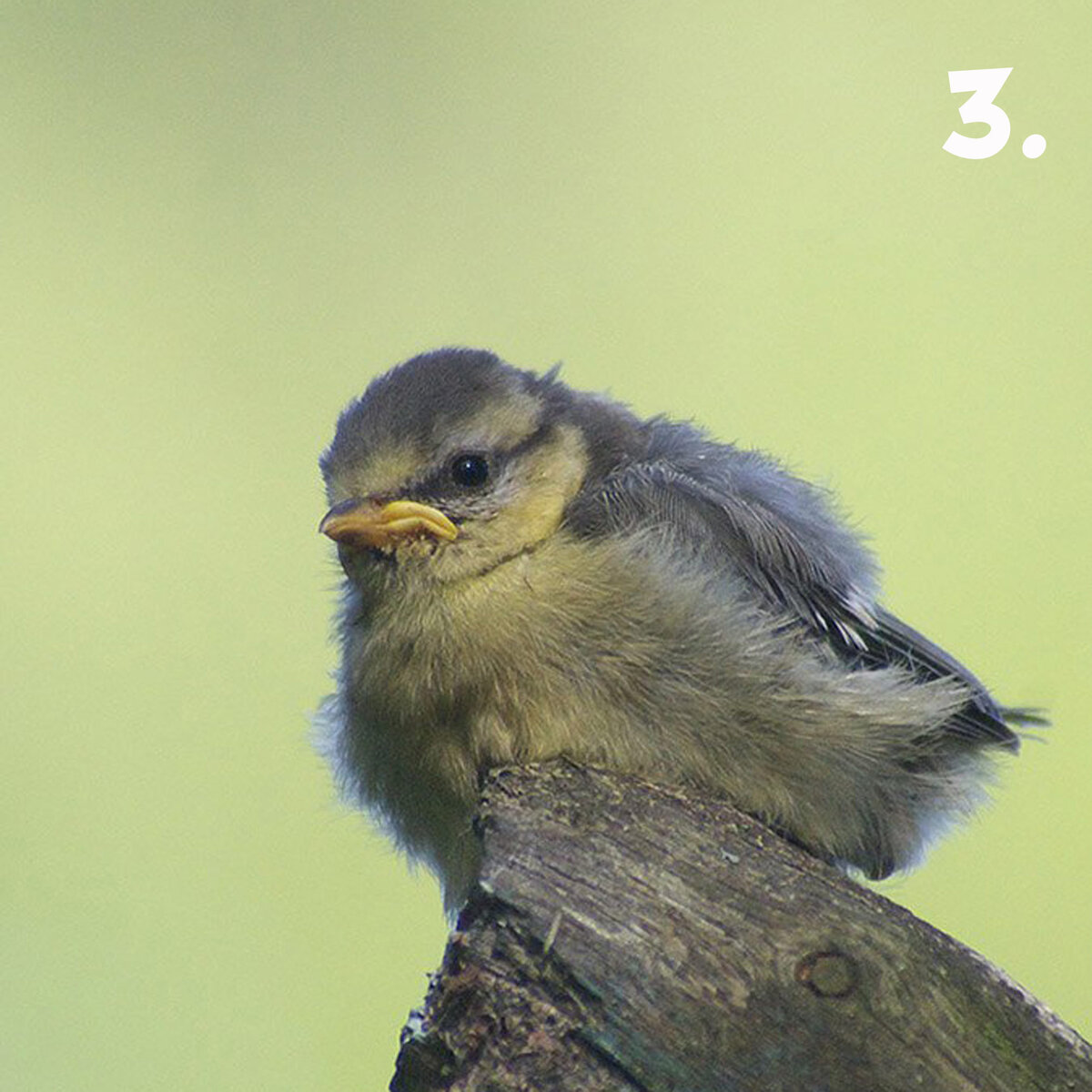 Фото: Анна Дмитриева и Владимир Мельников.