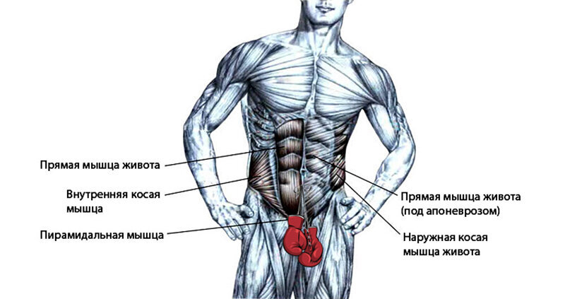 Как увеличить силу удара кулаком?