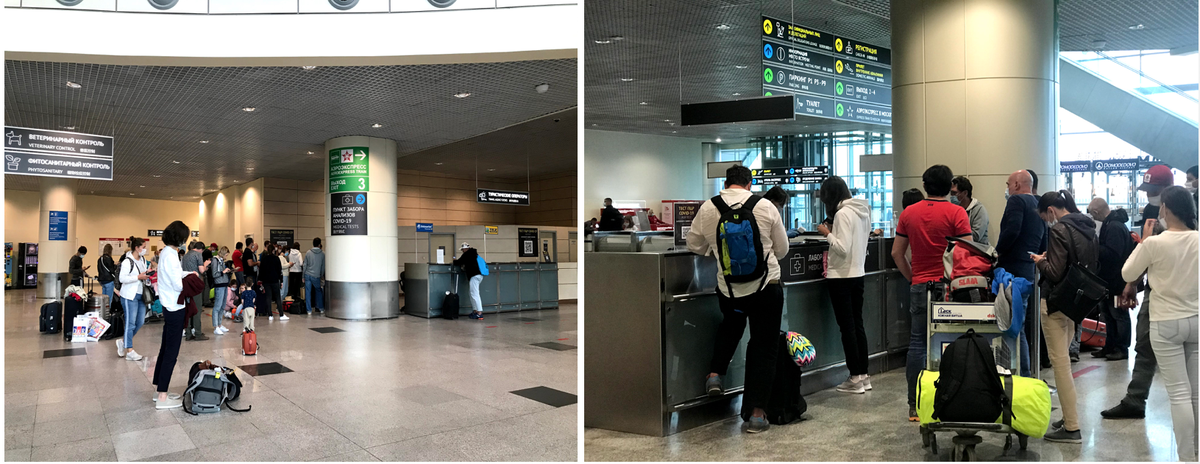 стойка информации в аэропорту домодедово. внуково веб камера аэропорт. аэропорт домодедово камеры. домодедово 31 декабря 2020. аэропорт домодедово 2021.