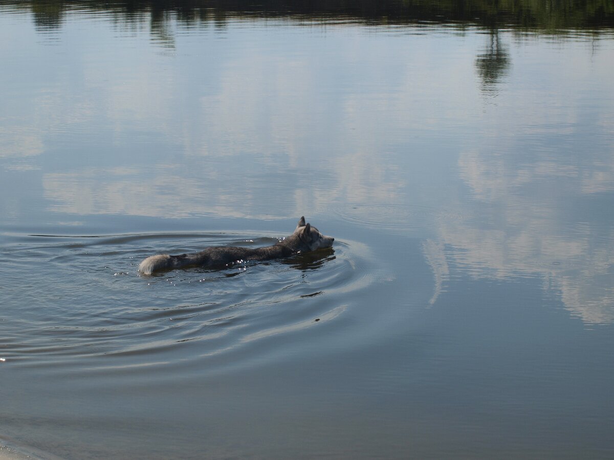 Время освежиться после трехкилометрового забега
