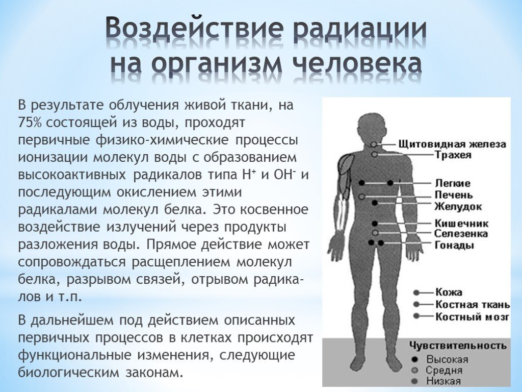 Радиационные эффекты облучения людей. Воздействие радиации на организм. Влияние радиационного излучения на организм. Влияние радиоактивного излучения. Воздействие излучения на организм.