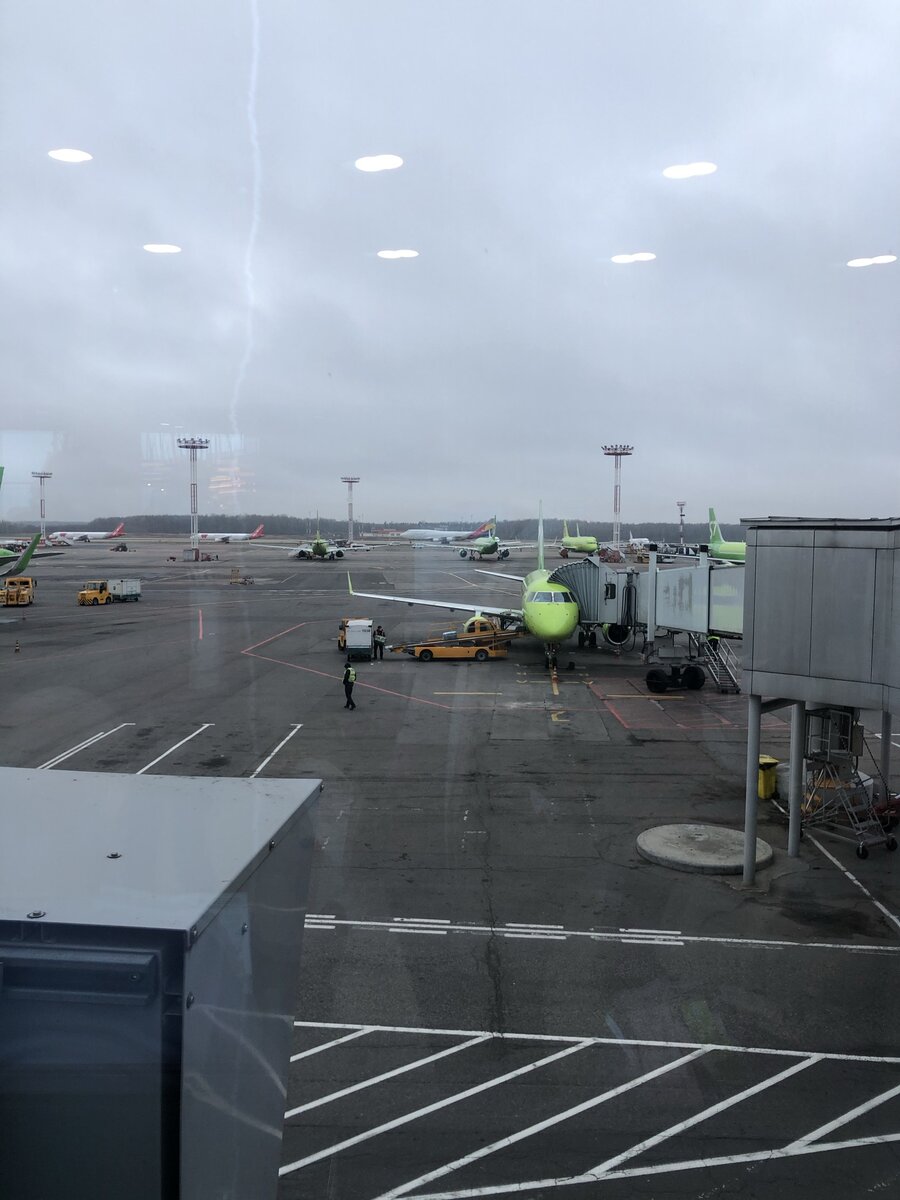 Домодедово, перед вылетом