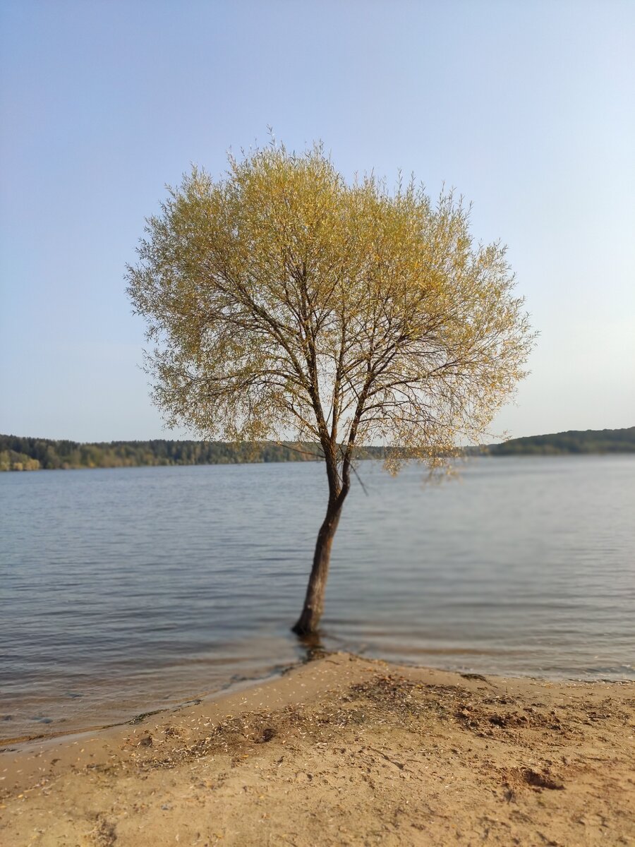 Фото сделано мной как и все остальные. 