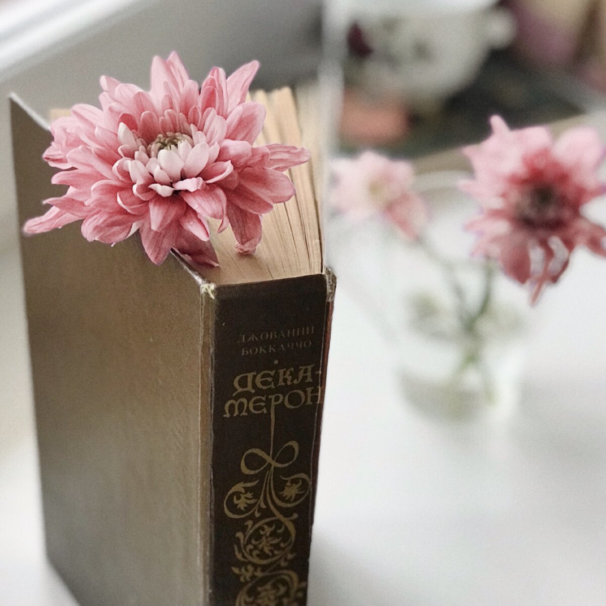 Не скачиваю книги бесплатно из интернета. Моя принципиальная позиция: любой труд должен быть оплачен. Фото автора