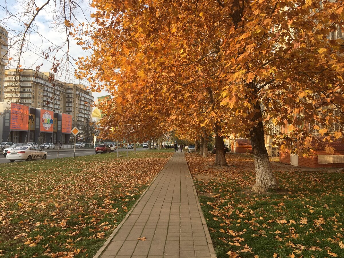 Вот такой яркий декабрь в Анапе, фото автора 