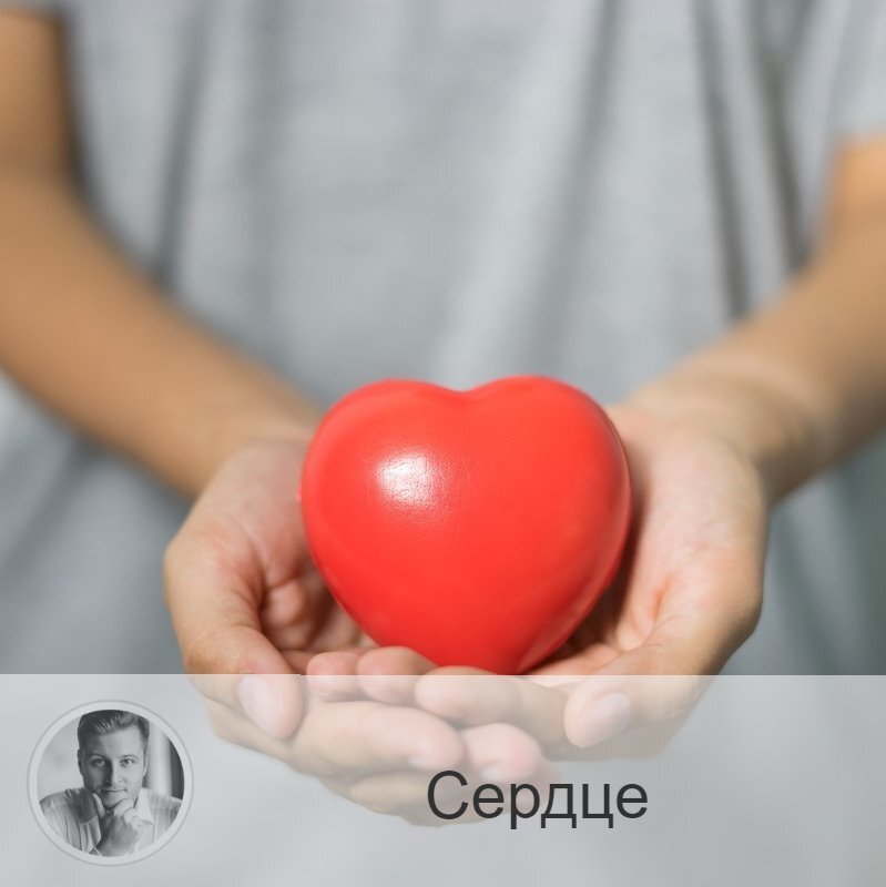 Подписывайтесь и ставьте 👍
Друзья, как вы считаете, главнее мозг или сердце? Что чем управляет?⤵️ 
Многие полагают, что организм человека управляется мозгом. Однако учёные думают иначе.
Сердце, по их мнению, задаёт тон мозгу, а также другим органам: велит, что делать и как.

Сердце управляет всеми функциями организма, объединяет их в одно целое.
Мозг при этом - всего лишь исполнитель.

Руперт Шелдрайк, исследователь:

«Биополе представляет из себя поле энергии, наполненное паттернами информации. Каждый орган и часть тела генерирует свои собственные поля. Один орган в особенности генерирует настолько значительные поля, что они влияют на весь организм в целом. Сердце – это император всей системы. Другие органы тоже выполняют главные задачи, но сердце задаёт тон для всех».

Друзья, вы согласны с мнением исследователя?
Сталкивались ли вы с ситуаций, когда понимали, что сердце - главный орган? Делитесь в комментариях )

—————
Готов узнать, что ждёт тебя в будущем? Закажи консультацию 👉 numeromagic.ru/uslugi