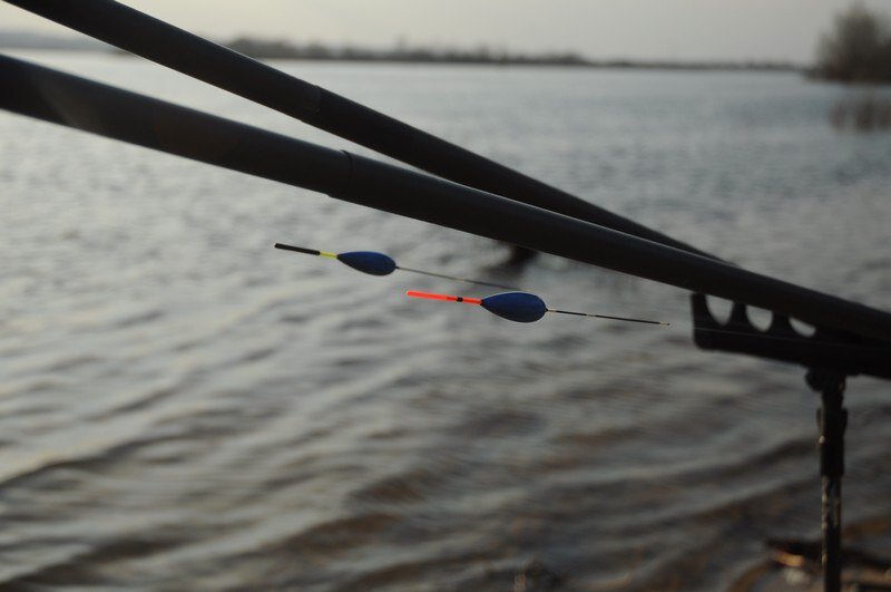 Каждый второй мужчина любит рыбалку, так как это очень интересное и увлекательное занятие. Это занятие способно не только разнообразить жизнь мужчины, но и провести это свободное время с пользой, так как пойманный улов сможет порадовать не только самого рыбака, но и его семью. Так как из пойманной рыбы можно приготовить довольно-таки разные блюда, от которых даже не откажутся и маленькие дети. Свежая рыба, которая пойманная только что, очень вкусная, ее мясо богата витаминами и поэтому рыба должна присутствовать в рационе каждого человека хотя бы раз в неделю.

Чтобы улучшить эффективность рыбалки необходимо знать некоторые советы, поэтому каждый начинающий, а также опытный рыболов должен знать о том, что для успешной рыбалки, должна быть собрана правильно оснастка удилища, а также нужно применять правильную прикормку и наживку.

Эффективная оснастка удилища должна состоять из правильно подобранного размера поплавка, из правильно подобранного размера крючка, а также быть необходимым количеством оснащением грузил. Также должна быть правильно подобрана леска. Если после прочтения данного материала вы почувствуете, что самостоятельно собрать снасть у вас не получится, посетите рыболовный магазин в Минске и попросите проконсультировать вас и помочь в сборе поплавочной снасти.



Поплавок для удилища должен выбираться правильно, но здесь зависит всё от того, на какую рыбу вы желаете отправиться на рыбалку. Если вы желаете отправиться на ловлю карася, то размер поплавка должен составлять 2 грамма. Если вы собираетесь отправиться на ловлю плотвы, то размер поплавка должен составлять 1 грамм. Если вы желаете отправиться на ловлю уклейки, то размер поплавка должен составлять 0,5 грамм. Также на поплавочную удочку можно ловить хищника, такого как окунь, судак и щука, тогда подбирать поплавок необходимо размером в 6 грамм. Также не нужно забывать и про цвет поплавка, его нужно выбирать ярким, так как тёмный поплавок будет очень плохо виден при заходе и выходи солнца.

Размер крючка должен быть под номером 8. Это оптимальный размер, который подойдет для ловли красноперки, уклейки, карася, плотвы и другой мелкой белой рыбы. Если вы отправляетесь на ловлю хищника, то здесь должен быть размер крючка 10.



Основная леска для удилища должна выбираться диаметром 0,15 мм. Также не стоит забывать о том, что необходимо применять и поводок из тонкой лески диаметром 0,08 мм. Поводок способен улучшить клев рыбы в несколько раз.

Грузила на оснастке должны быть надеты правильно. Они не должны находиться все в одной куче, они должны равномерно располагаться на леске и их количество должно быть не меньше 3. Это означает о том, что не нужно вешать 1, 2 грузила большого размера. Лучше повесить 5 грузил маленького размера. Это позволяет рыбе не пугаться вашей оснастки в воде.

