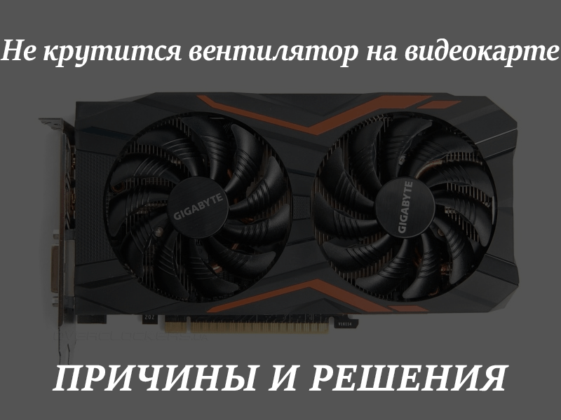 Видеокарта крутится но нет изображения
