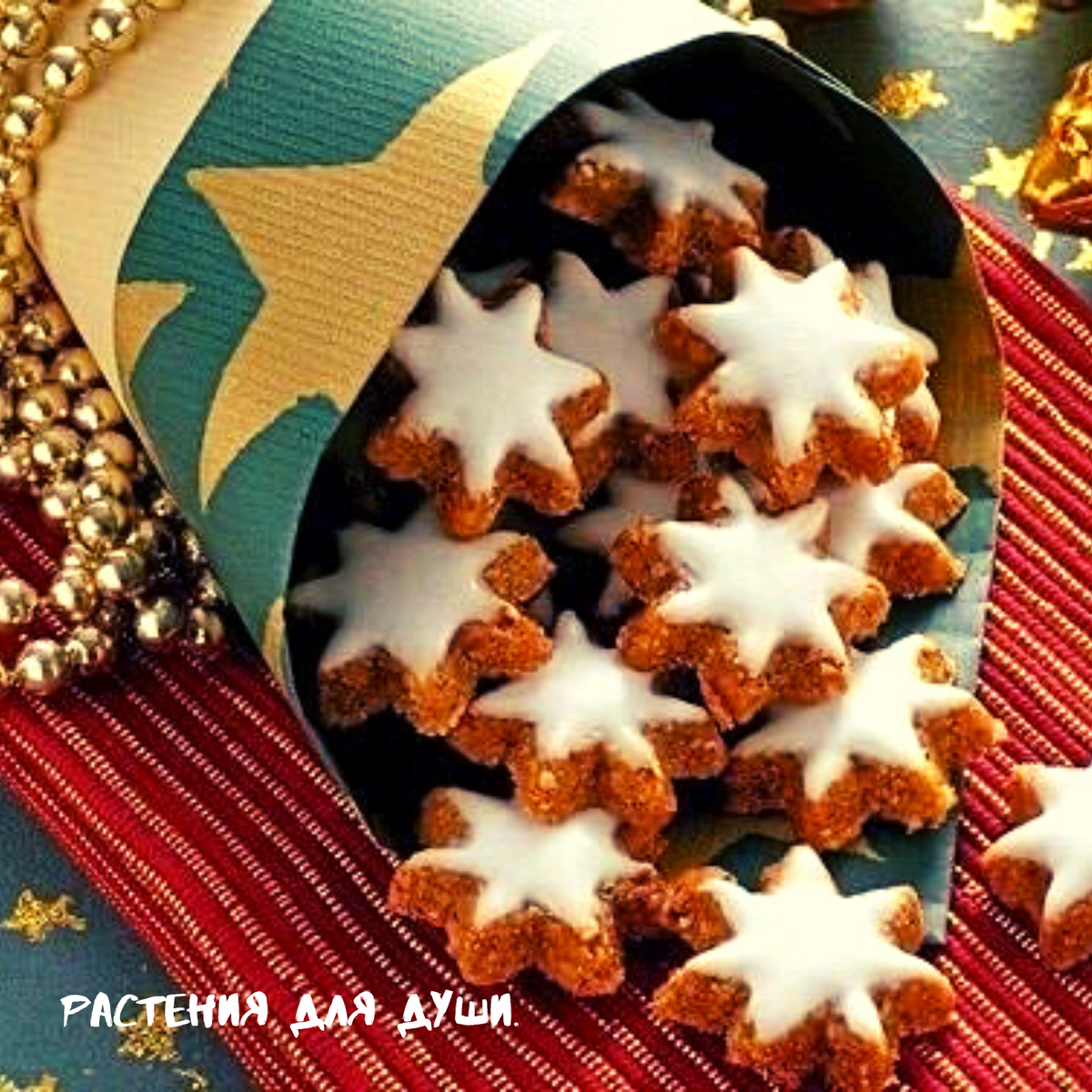 Christmas cookie Suit